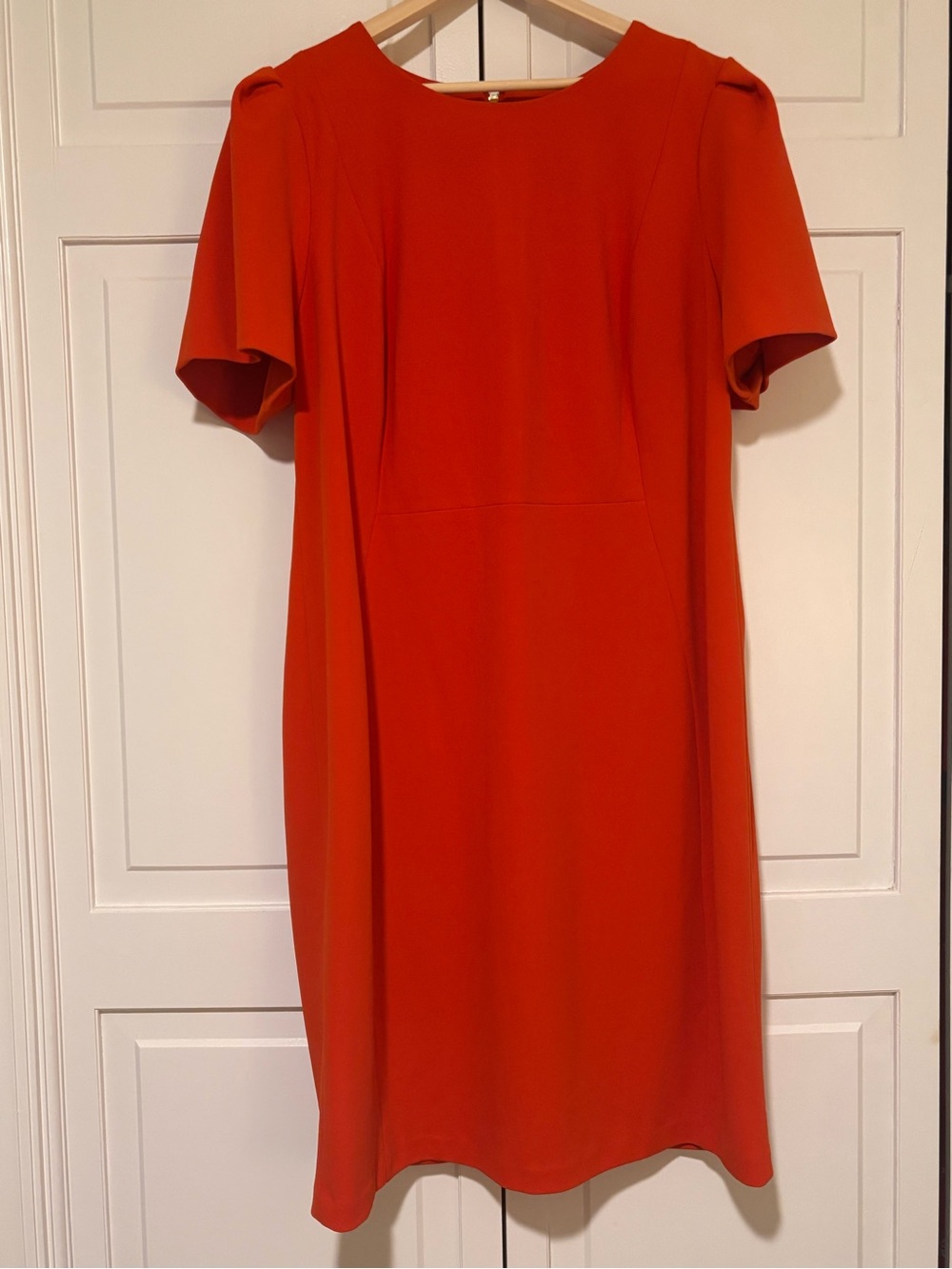 Calvin Klein Rust Sheath Dress